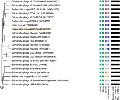 Characterization of polyvalent Escherichia phage Sa157lw for the biocontrol potential of Salmonella Typhimurium and Escherichia coli O157:H7 on contaminated mung bean seeds